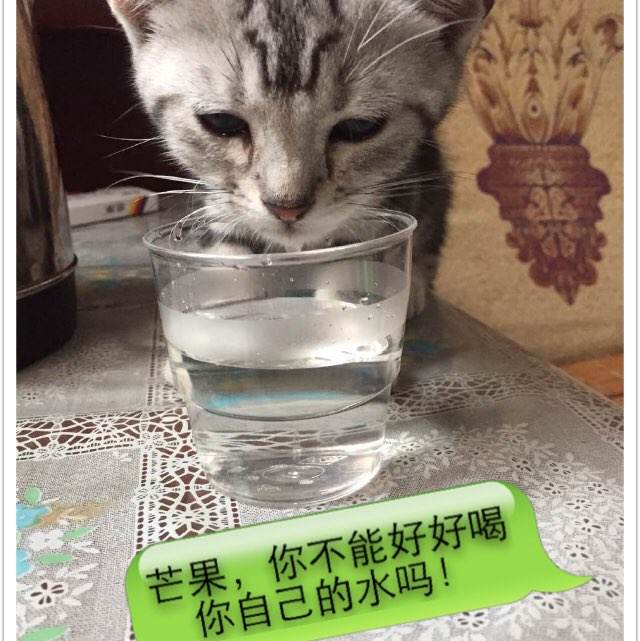 怎么办假中佩恩学院文凭毕业证